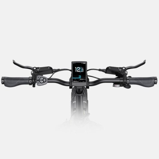 Bicicleta eléctrica Engwe L20 3.0 Pro Motor 100 Nm 160 km Autonomía Suspensión Total Plegable