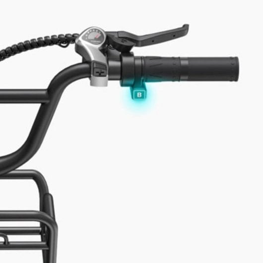 Bicicleta eléctrica ENGWE L20 BOOST 250W 75 Nm 48V 13Ah 20x4.0 Suspensión LCD