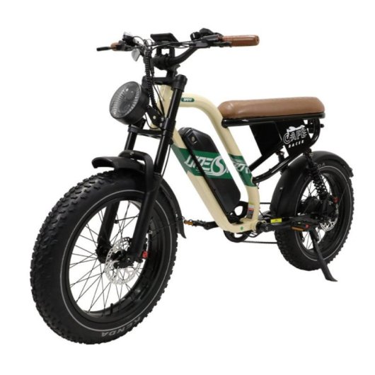 Vélo électrique W66 Suspension Intégrale 48 V 13,5 Ah Pneus larges 20x4 LCD Bluetooth