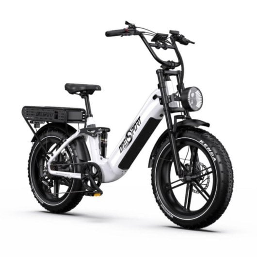 Bicicletta elettrica OT08Pro doppia batteria 500W doppia sospensione 20x4.0 cambio Shimano 7V