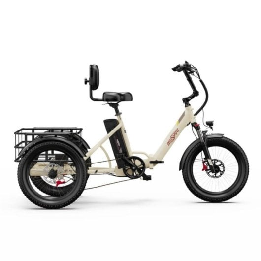 Triciclo eléctrico OT30Pro motor 500W batería 48V 18Ah plegable carga 180kg todoterreno