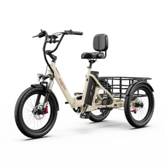 Triciclo eléctrico OT30Pro motor 500W batería 48V 18Ah plegable carga 180kg todoterreno
