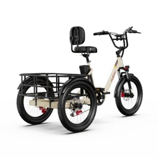 Triciclo eléctrico OT30Pro motor 500W batería 48V 18Ah plegable carga 180kg todoterreno