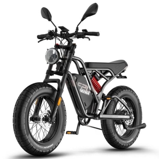 Bicicleta eléctrica 750W Motor Buje Suspensión Doble Batería 48V 25Ah Autonomía 100km