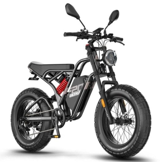 Bicicleta eléctrica 750W Motor Buje Suspensión Doble Batería 48V 25Ah Autonomía 100km