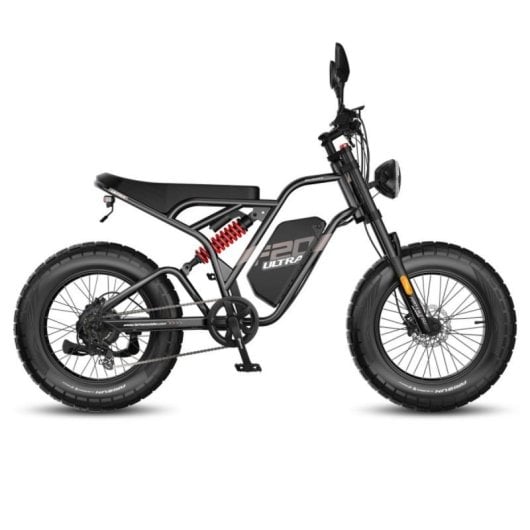 Bicicleta eléctrica 750W Motor Buje Suspensión Doble Batería 48V 25Ah Autonomía 100km