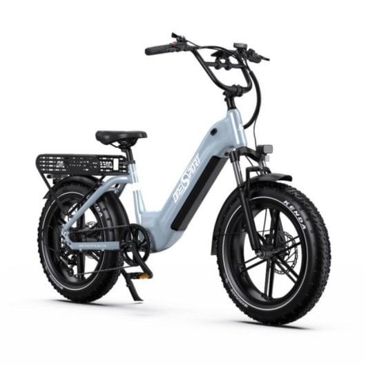 Bicicleta elétrica OT08 motor 500 W 48 V 18 Ah pneus 20 x 4.0 travões hidráulicos