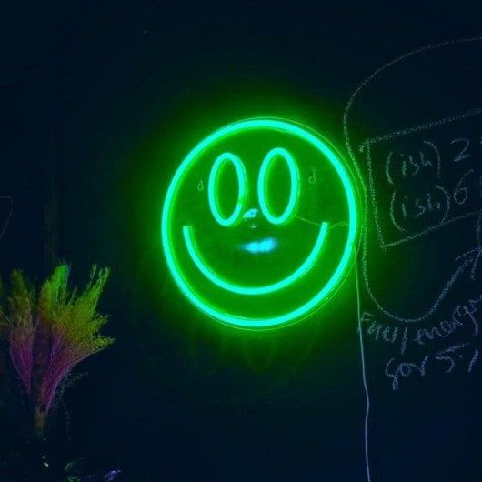 Fita LED Neon JANDEI Verde 5m 120 LEDs/m 12V IP65 Silicona Fonte 60W