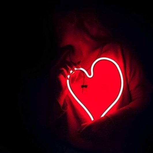 Tira LED Neon Flex JANDEI 5m Vermelho 120 LEDs/m IP65 12V Silicona Fonte 60W