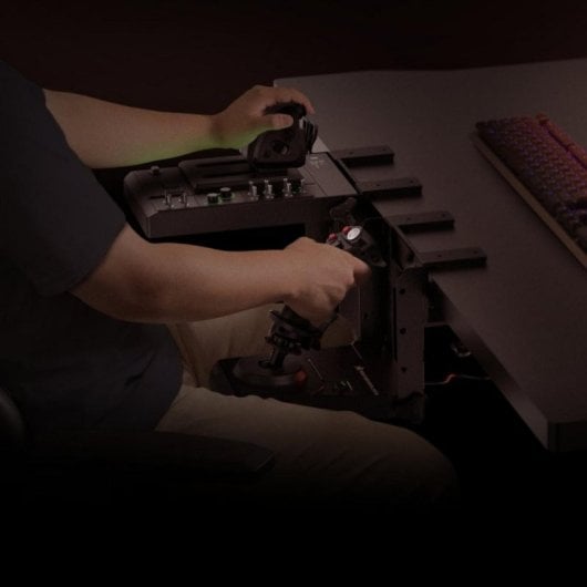 Joystick Hori HPC-045U Palanca de contrôle latérale + Manette des gaz PC USB Noir