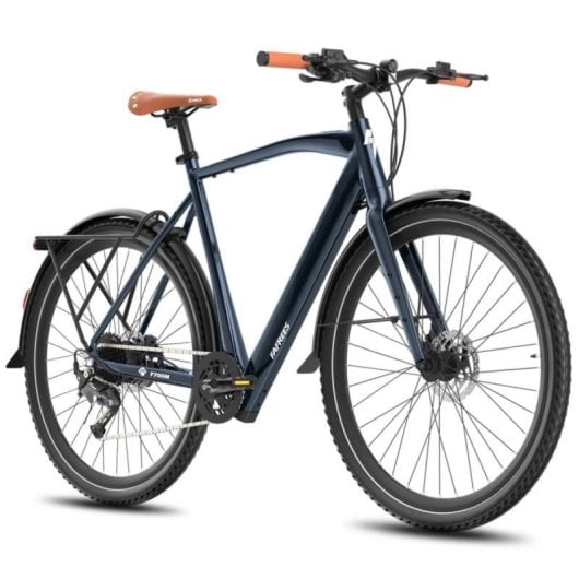 Vélo électrique Fafrees F700M moteur 250 W batterie 36 V 10 Ah freins hydrauliques urbain
