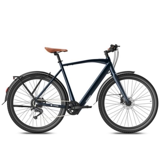 Vélo électrique Fafrees F700M moteur 250 W batterie 36 V 10 Ah freins hydrauliques urbain
