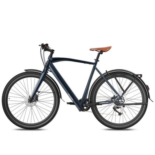 Vélo électrique Fafrees F700M moteur 250 W batterie 36 V 10 Ah freins hydrauliques urbain