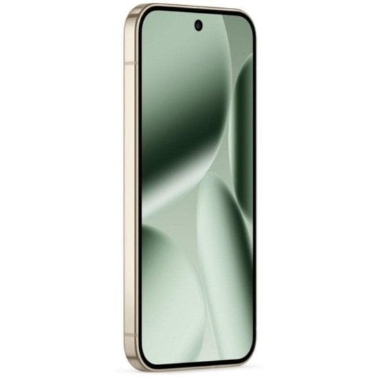 Google Pixel 10 Pro XL 5G 16GB 256GB 6.8" Verde