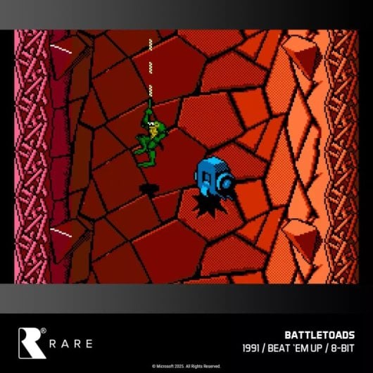 EVERCADE RARE Collection 1