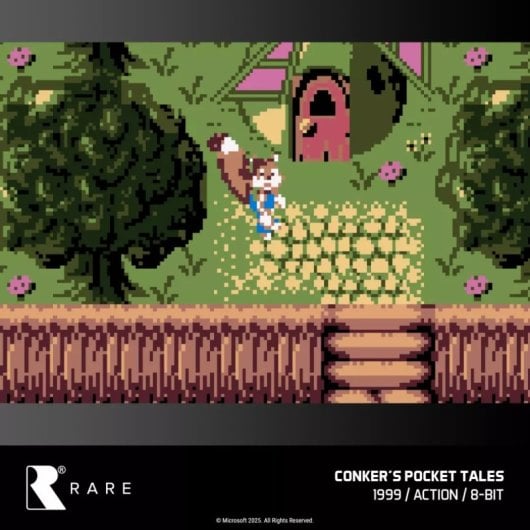 EVERCADE RARE Collection 1