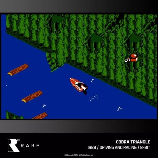 EVERCADE RARE Collection 1