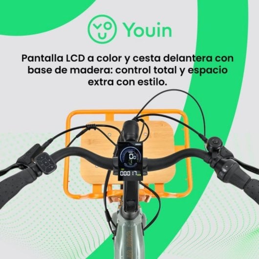 Bicicleta eléctrica YOUIN Berlin Pro BK6150 motor 250W doble batería correa carbono 26"