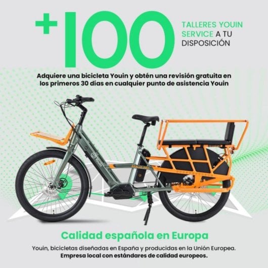 Bicicleta eléctrica YOUIN Berlin Pro BK6150 motor 250W doble batería correa carbono 26"