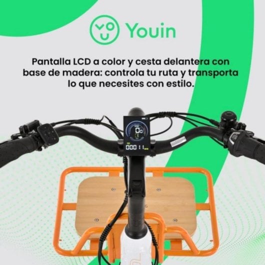 Bicicleta eléctrica YOUIN Berlin BK6100 motor central 250W doble batería 125 km hidráulicos 26"