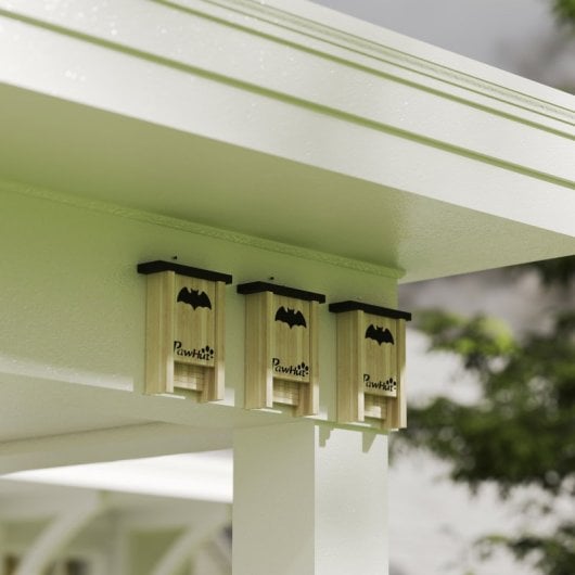 Pawhut Pack De 3 Casas Para Murciélagos De Madera Para Exterior Jardín Natural