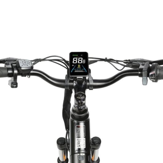 Elektrofahrrad SAMEBIKE RS-A01 Pro-T 500 W 36 V 15 Ah 26 Zoll Doppelaufhängung LCD