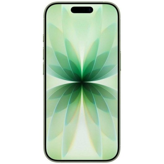 Apple iPhone 17 256 GB Salbei Grün