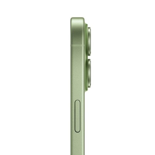 Apple iPhone 17 256 GB Salbeigrün