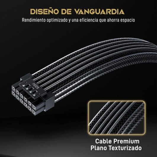 Forgeon Reactor 1000 Cybenetics Platinum ATX 3.1 PCIe 5.1 Full Modular Fuente de Alimentación Negra