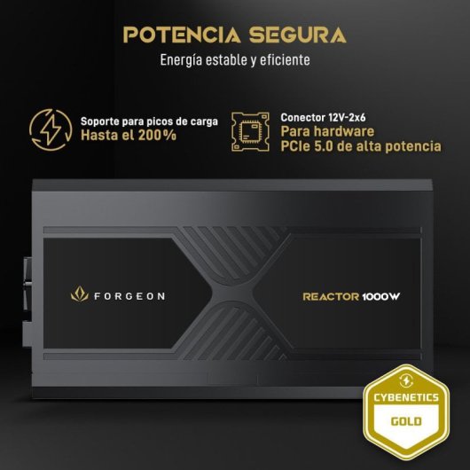 Forgeon Reactor 1000 Cybenetics Platinum ATX 3.1 PCIe 5.1 Full Modular Fuente de Alimentación Negra