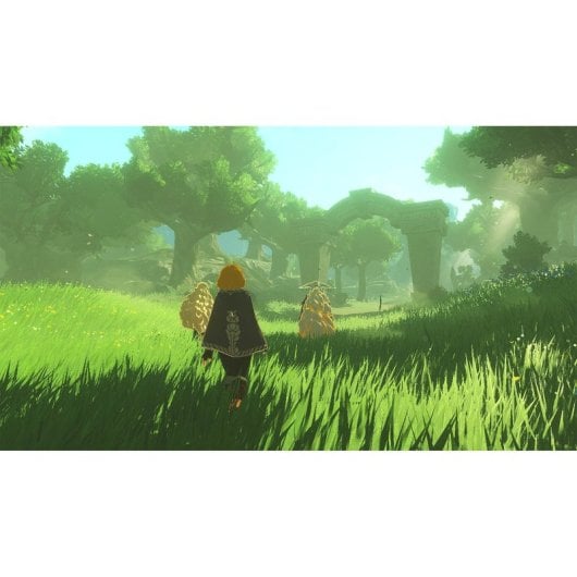 Hyrule Warriors: Age of Imprisonment SWITCH 2