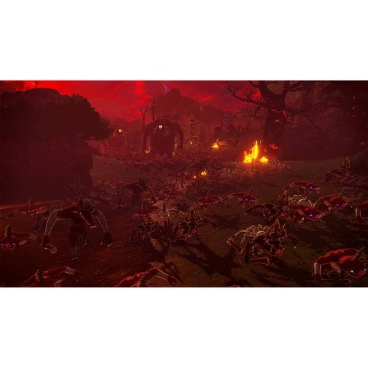 Hyrule Warriors: Age of Imprisonment SWITCH 2