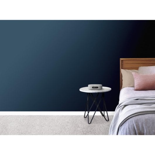 Radio-réveil Harman Kardon Citation Oasis FM Gris Bluetooth Wi-Fi 12 W Stéréo