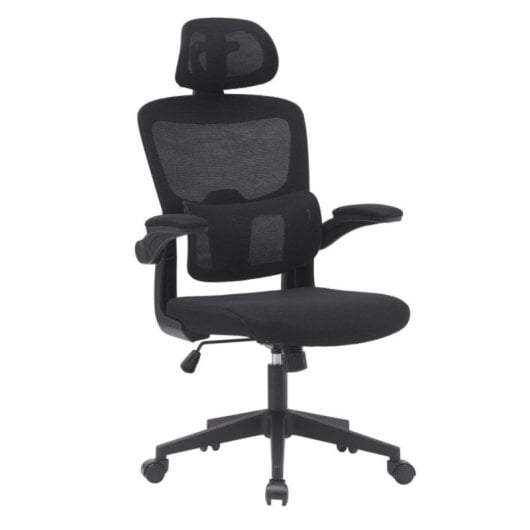 Home Heavenly Aron Cadeira de Escritório Ergonómica com Encosto 3D, Reforço Lombar e Braços Rebatíveis