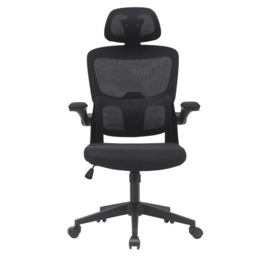 Home Heavenly Aron Cadeira de Escritório Ergonómica com Encosto 3D, Reforço Lombar e Braços Rebatíveis
