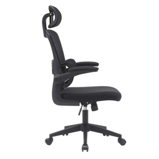 Home Heavenly Aron Cadeira de Escritório Ergonómica com Encosto 3D, Reforço Lombar e Braços Rebatíveis