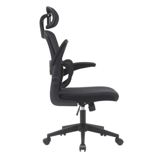 Home Heavenly Aron Cadeira de Escritório Ergonómica com Encosto 3D, Reforço Lombar e Braços Rebatíveis
