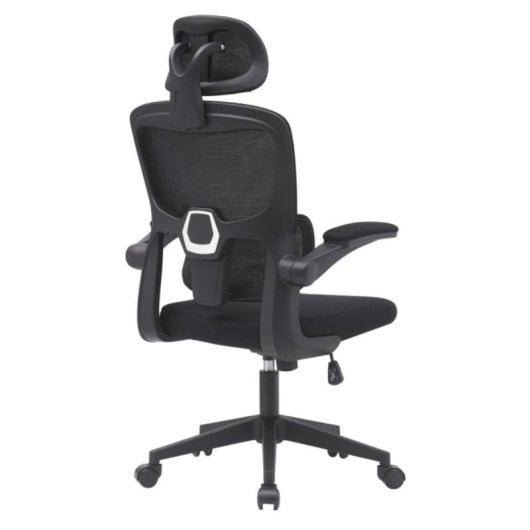 Home Heavenly Aron Cadeira de Escritório Ergonómica com Encosto 3D, Reforço Lombar e Braços Rebatíveis