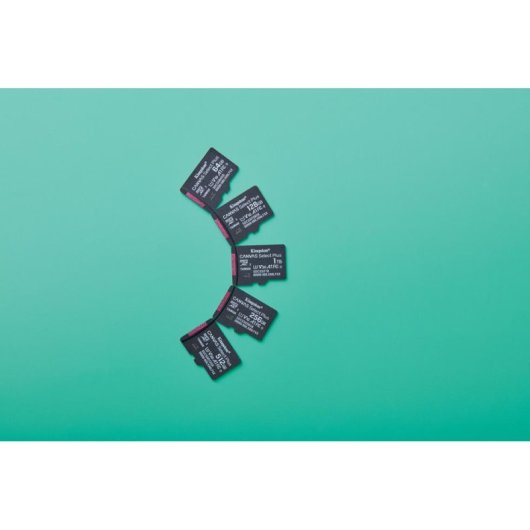 MicroSDXC Kingston Canvas Select Plus 256GB UHS-I A1 V10 150 MB/s Negro