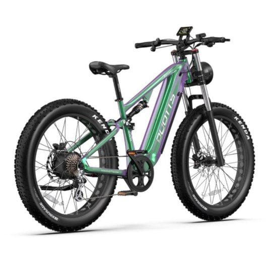 Vélo électrique 26 x 4 pouces 750 W 48 V 20 Ah avec freins à disque hydrauliques et écran LCD