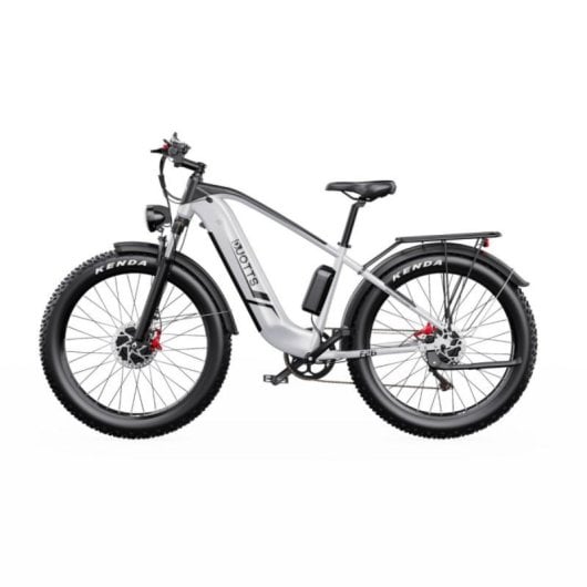 Bicicleta Eléctrica Duotts F26 2x750W/48V/20Ah/26"