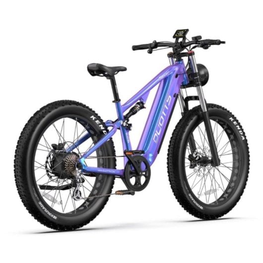 Bicicleta Electrica Fat Bike 26 x 4 Pulgadas 750 W 48 V 20 Ah LCD Frenos Hidraulicos
