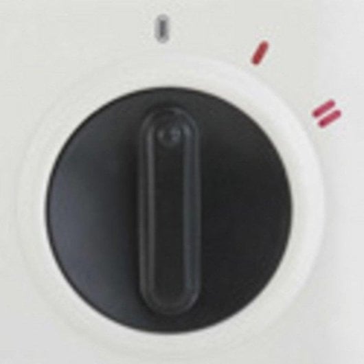 Chauffage Soufflant Soler & Palau TL-10 N 2000W Silencieux