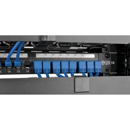 Cable Ethernet Tripp Lite N204-003-BL-DN Cat6 RJ45 ángulo abajo azul 0.91 m