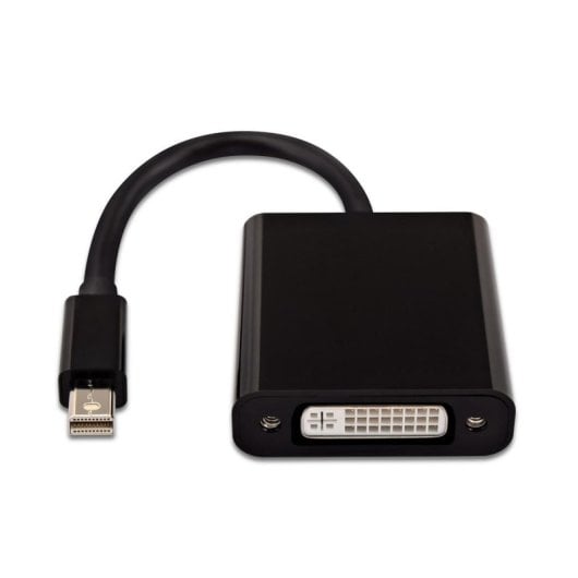 Adapter V7 Mini DisplayPort auf DVI-D Schwarz männlich zu weiblich China