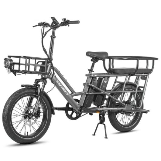 Elektrofahrrad Fafrees Ff20 Cuv 20 Zoll 250W 48V 24Ah Hydraulikbremsen Grau Metallisch