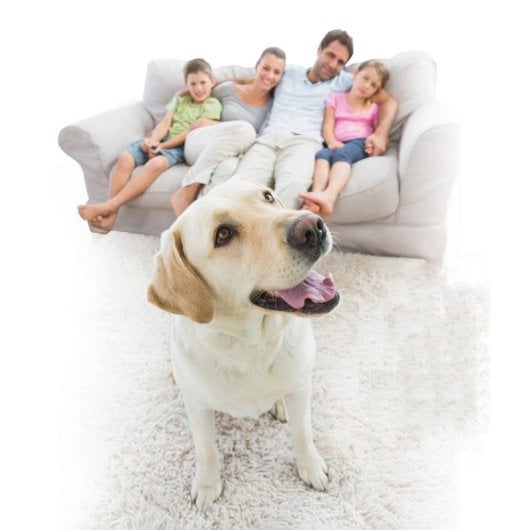 Alarme Techly I-ALARM-KIT001 Kit GSM Botões LED Sem Fio Branco ABS