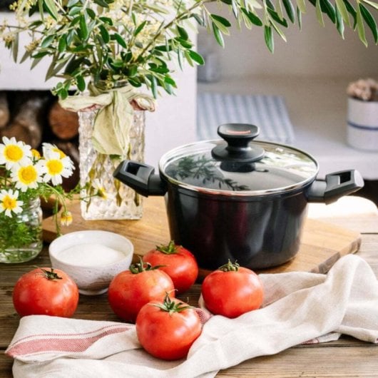 Cacerola Monix Titan Rock 20 cm Aluminio Forjado Revestimiento Titanio Tapa Vidrio