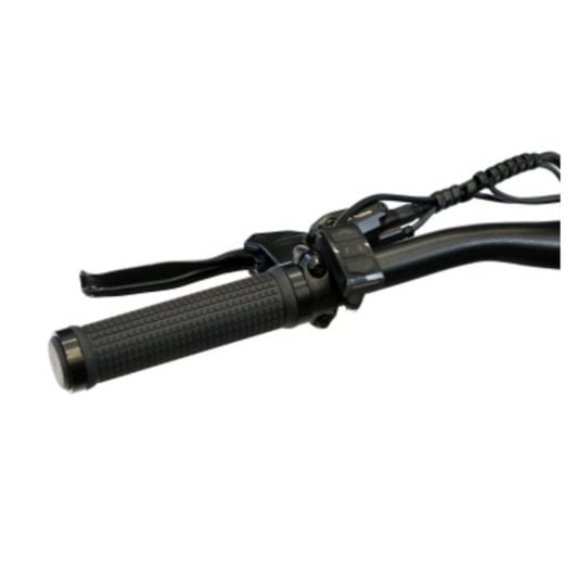 Bicicleta eléctrica SmartGyro Senda batería litio 10 Ah 250 W 27,5" negro-titanio