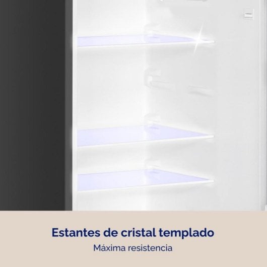 Frigorífico Dos Puertas Artica AFE2P14355L206I Defrost 143cm 206L E Inox